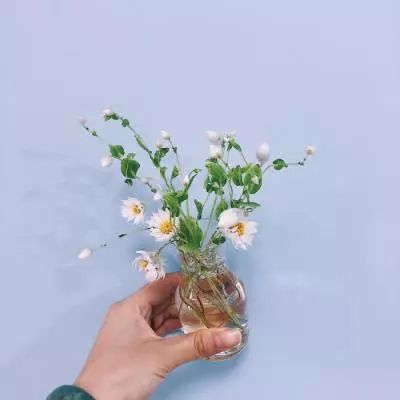 保卫家园手机游戏下载
